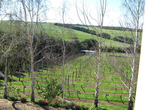 Waybourne- Vineyard And Winery - Accommodation QLD 2
