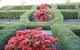 Waybourne- Vineyard And Winery - thumb 4