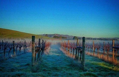 Rooftops - Accommodation QLD 20