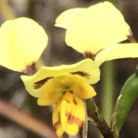 Swan Cove Beachfront - Accommodation QLD 19