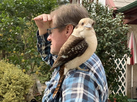 Swan Cove Beachfront - Accommodation QLD 4