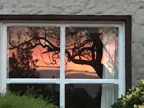 Swan Cove Beachfront - Accommodation QLD 13