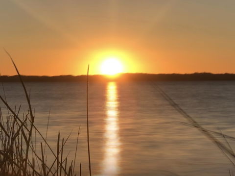 Swan Cove Beachfront - Accommodation QLD 9