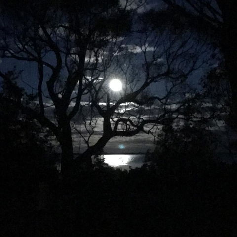 Swan Cove Beachfront - Accommodation QLD 12