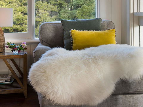 Green Gully House - Accommodation QLD 6