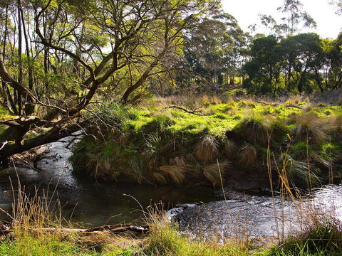 Green Gully House - Accommodation QLD 5
