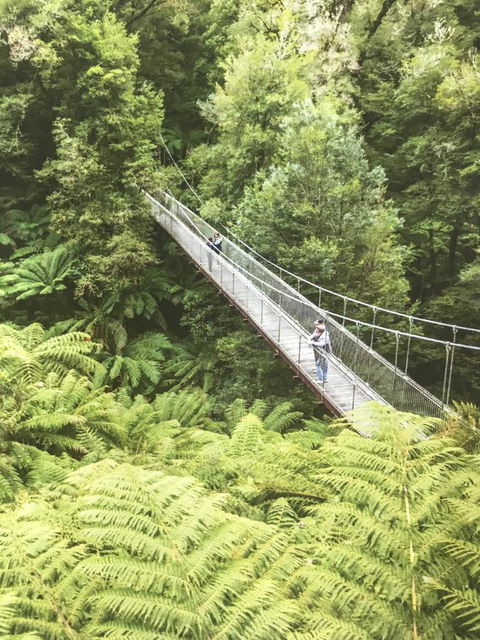 Tarra Bulga Guesthouse - Accommodation QLD 32