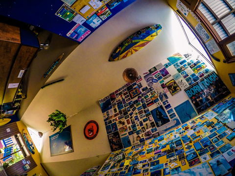 Cool Bananas Backpackers - Accommodation QLD 29