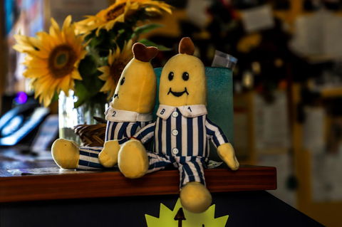 Cool Bananas Backpackers - Accommodation QLD 30