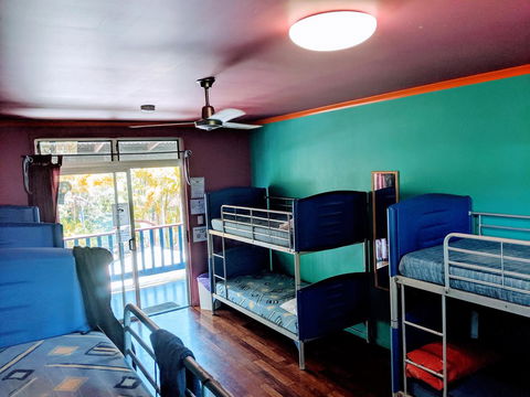 Cool Bananas Backpackers - Accommodation QLD 5