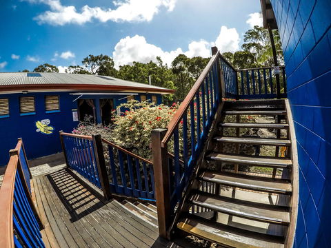 Cool Bananas Backpackers - Accommodation QLD 27