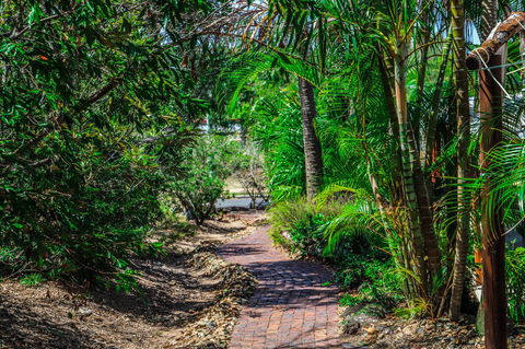 Cool Bananas Backpackers - Accommodation QLD 15
