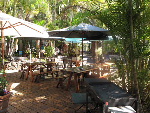 Cool Bananas Backpackers - Accommodation QLD 16