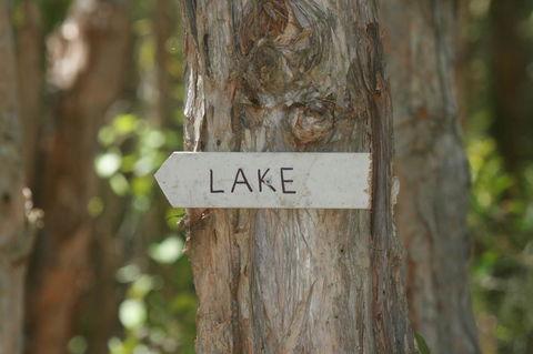 Lake Weyba Noosa Lodge & Kangaroos - Accommodation QLD 36