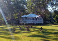 Book Peregian Beach Accommodation Vacations Accommodation QLD Accommodation QLD