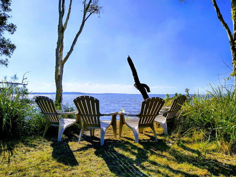 Lake Weyba Noosa Lodge & Kangaroos - Accommodation QLD 44