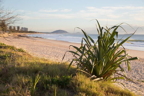 Northpoint Holiday Apartments - Accommodation QLD 1