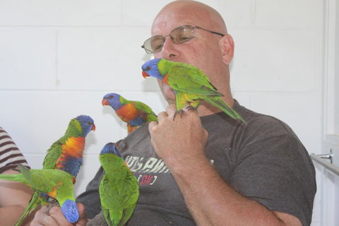 Amaroo On Mandalay, Magnetic Island - Accommodation QLD 33
