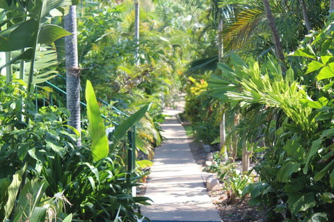 Amaroo On Mandalay, Magnetic Island - Accommodation QLD 23