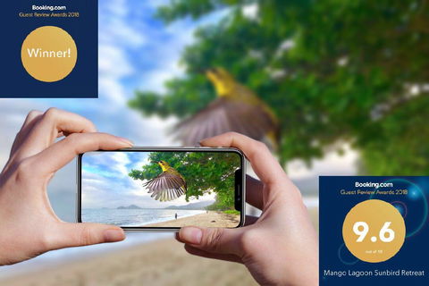 Mango Lagoon Sunbird Retreat - Accommodation QLD 1