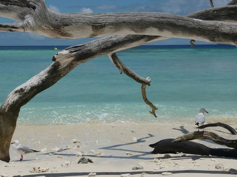 Beach Club Port Douglas Luxury Apartments - Accommodation QLD 23