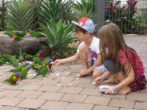 Island Leisure Resort - Accommodation QLD 25