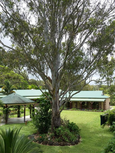 The Bearded Dragon Boutique Hotel - Accommodation QLD 32