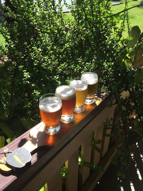 The Bearded Dragon Boutique Hotel - Accommodation QLD 31