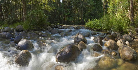 Silky Oaks Lodge - Accommodation QLD 20