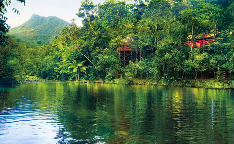 Silky Oaks Lodge - Accommodation QLD 8