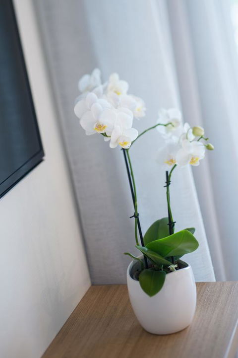 Heart Hotel And Gallery Whitsundays - Accommodation QLD 28