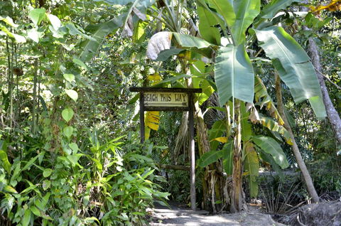 PK\'s Jungle Village - Accommodation QLD 23