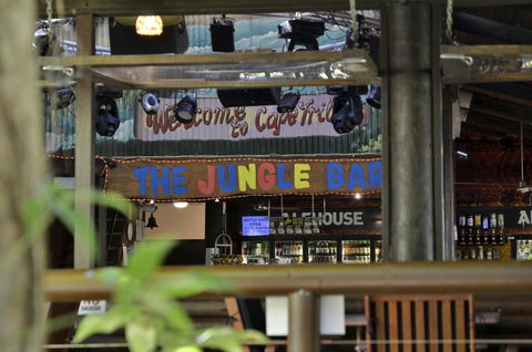 PK\'s Jungle Village - Accommodation QLD 20