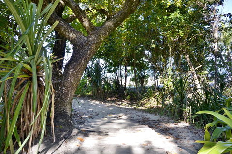 PK\'s Jungle Village - Accommodation QLD 28