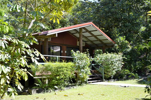 PK\'s Jungle Village - Accommodation QLD 21