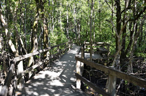 PK\'s Jungle Village - Accommodation QLD 32