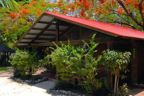 PK\'s Jungle Village - Accommodation QLD 10