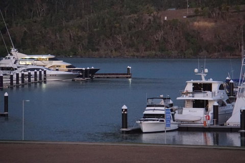 Airlie Seaview Apartments - Accommodation QLD 11