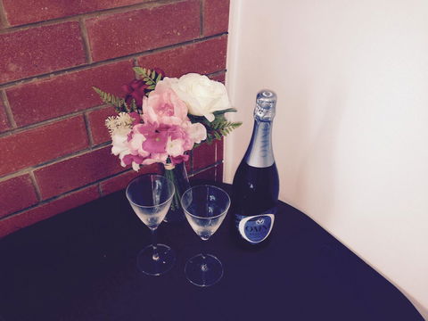 XYL Pets Friendly Seaside Boutique Guesthouse - Accommodation QLD 26