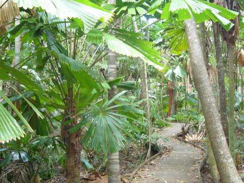 Port Douglas Retreat - Accommodation QLD 18