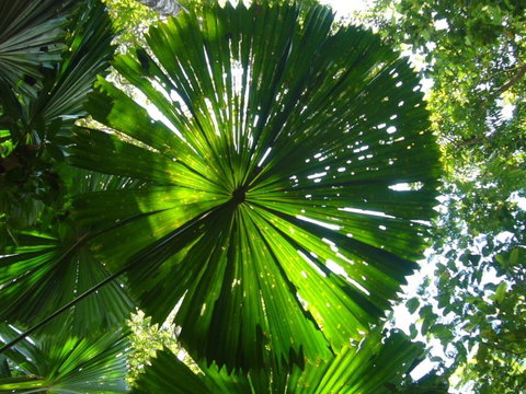 Port Douglas Retreat - Accommodation QLD 19