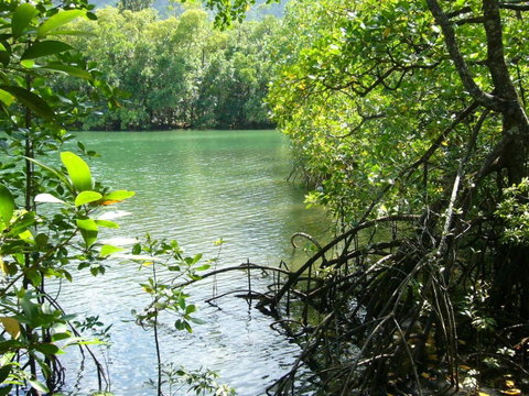 Port Douglas Retreat - Accommodation QLD 17