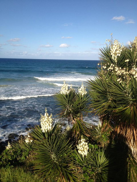 Oceania On Burleigh Beach - Accommodation QLD 23