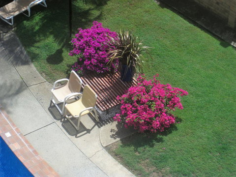 Oceania On Burleigh Beach - Accommodation QLD 29