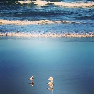 Oceania On Burleigh Beach - Accommodation QLD 40