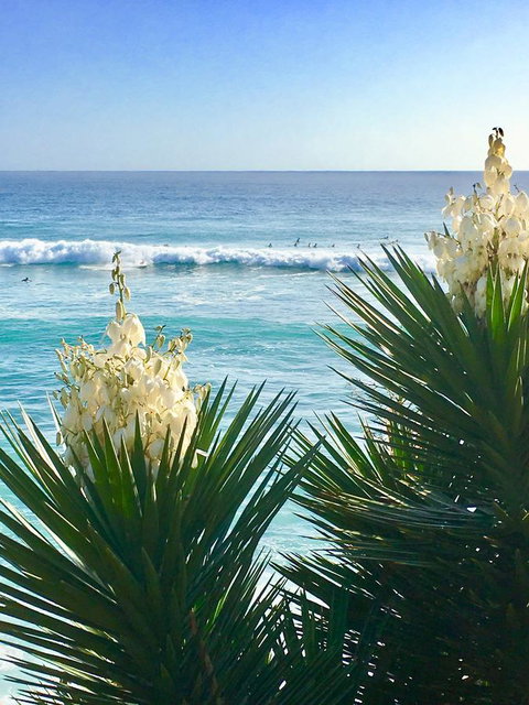 Oceania On Burleigh Beach - Accommodation QLD 21