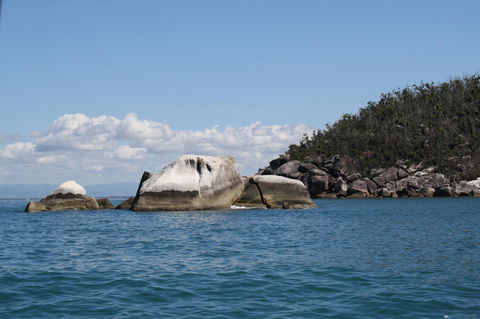 Boutique Bungalows - Accommodation QLD 24