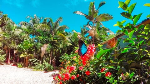 Boutique Bungalows - Accommodation QLD 14