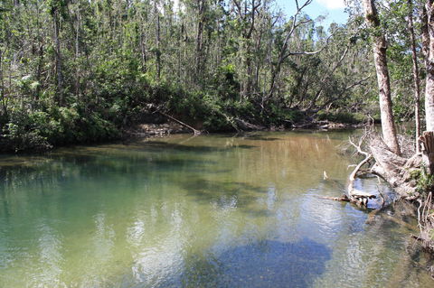 Boutique Bungalows - Accommodation QLD 25