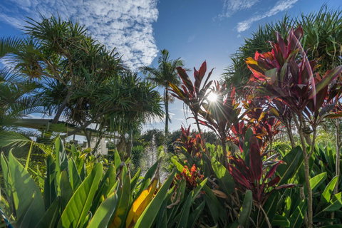 Currumbin Sands On The Beach - Accommodation QLD 9